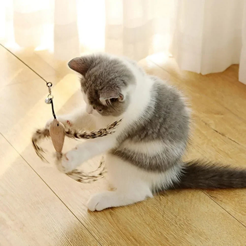 Seu Gato Não Brinca Mais? Descubra Como Ativar o Instinto de Caça e Transformar a Brincadeira