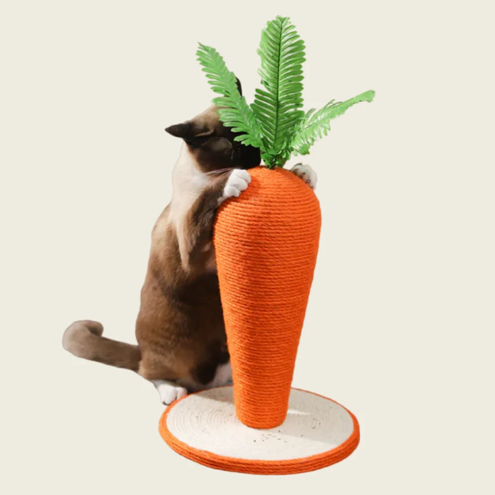 Arranhador Cenoura de Sisal para Gatos – Proteção dos Móveis
