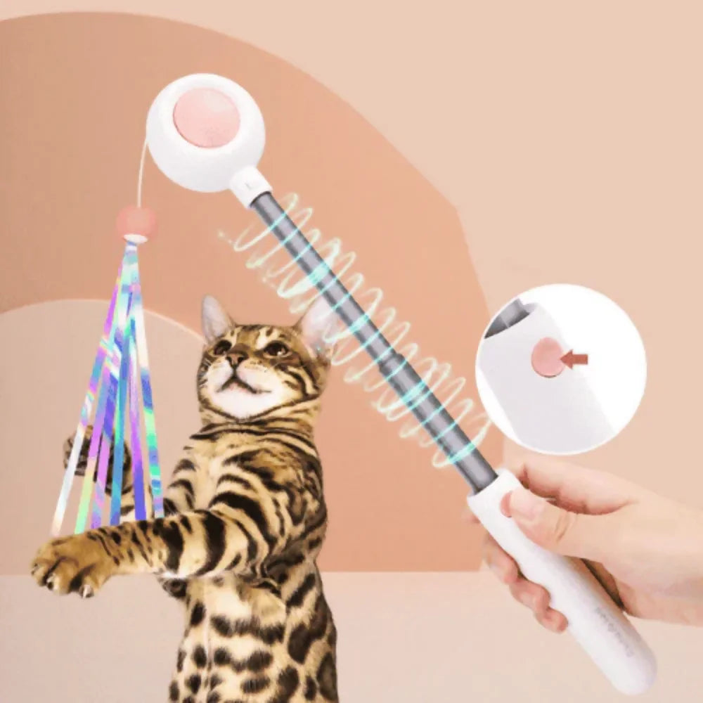 Varinha De Brinquedo Para Gatos | CatFlick: Brinque, Estenda, Surpreenda!