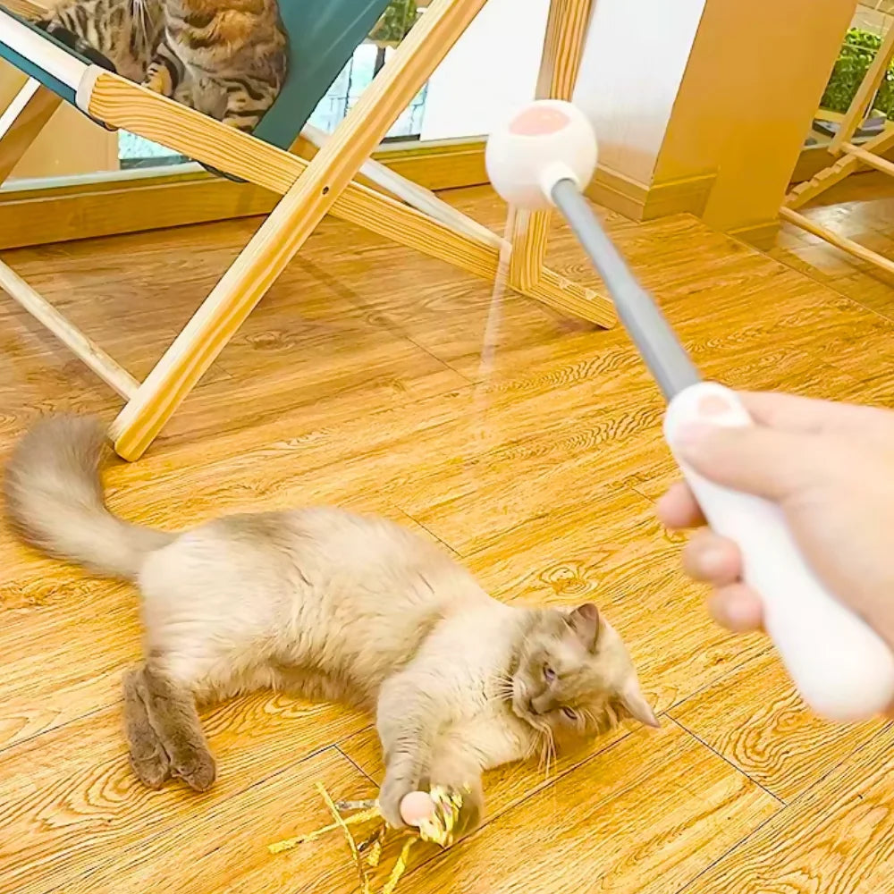 Varinha De Brinquedo Para Gatos | CatFlick: Brinque, Estenda, Surpreenda!