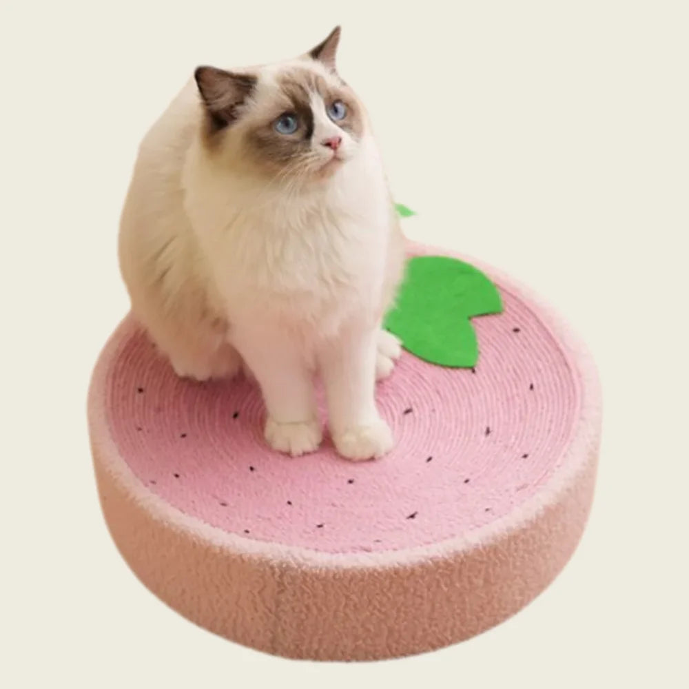 Cama de Sisal Multifuncional – Cama & Arranhador Divertido para Gatos