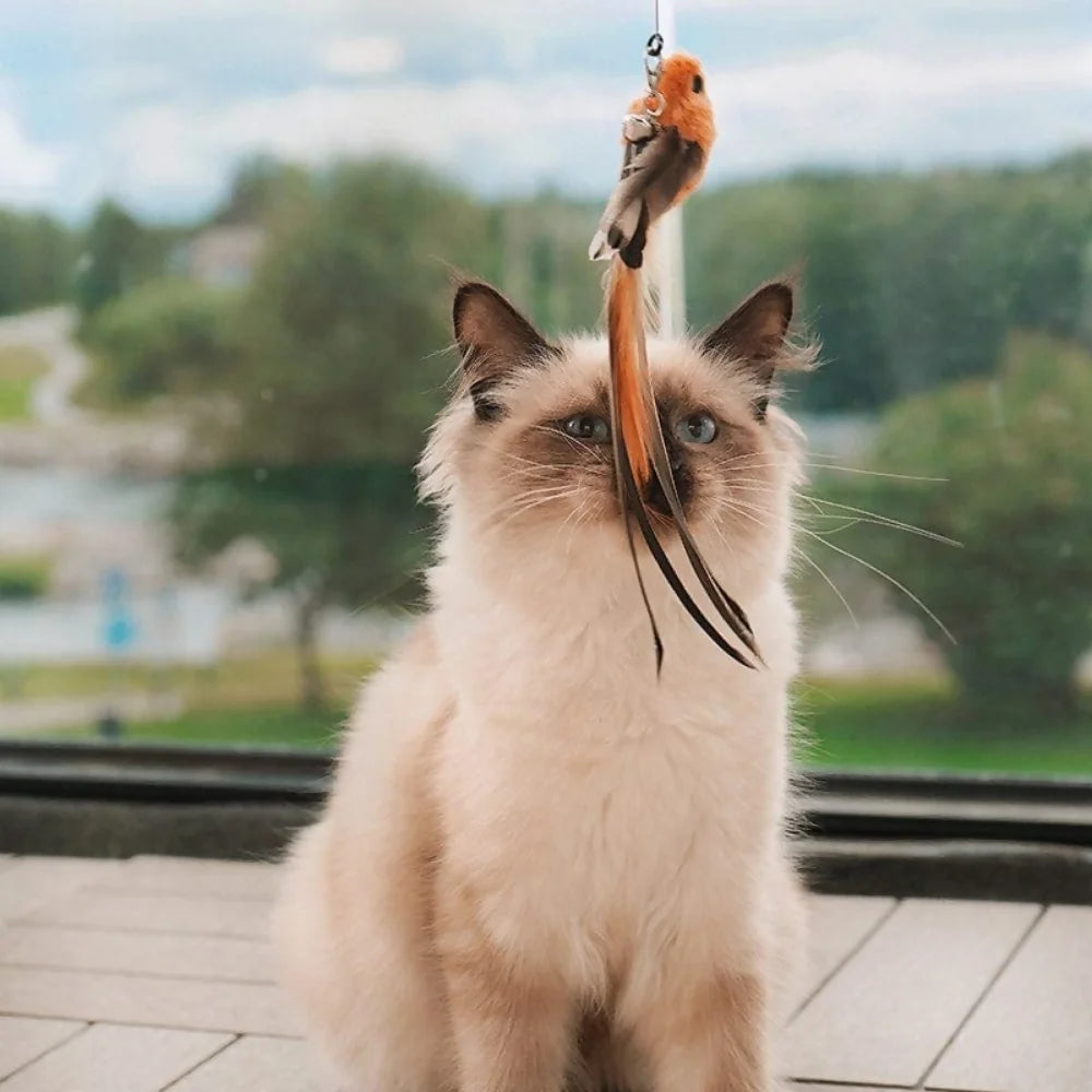 Varinha de Brinquedo Interativo para Gatos | Passarinho Mágico