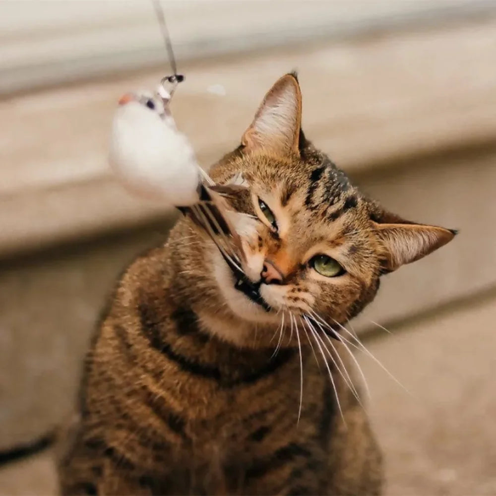 Varinha de Brinquedo Interativo para Gatos | Passarinho Mágico