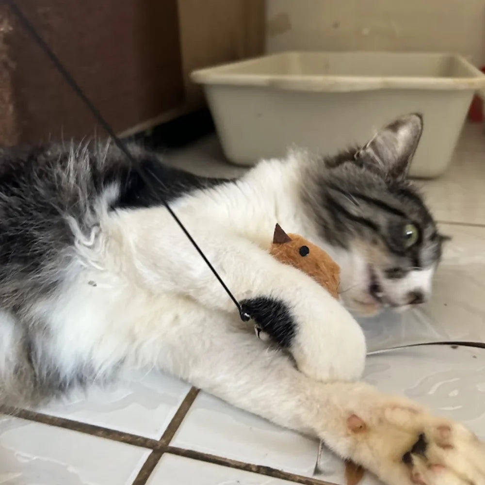 Varinha de Brinquedo Interativo para Gatos | Passarinho Mágico