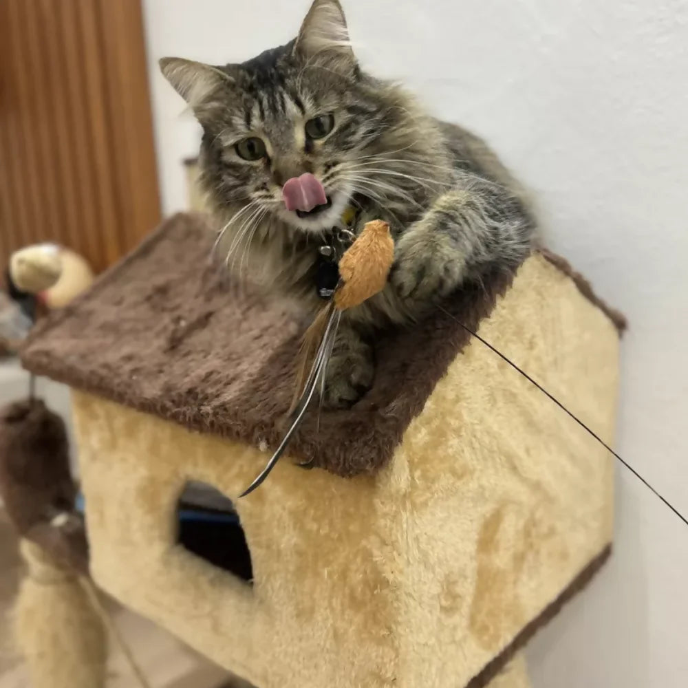 Varinha de Brinquedo Interativo para Gatos | Passarinho Mágico