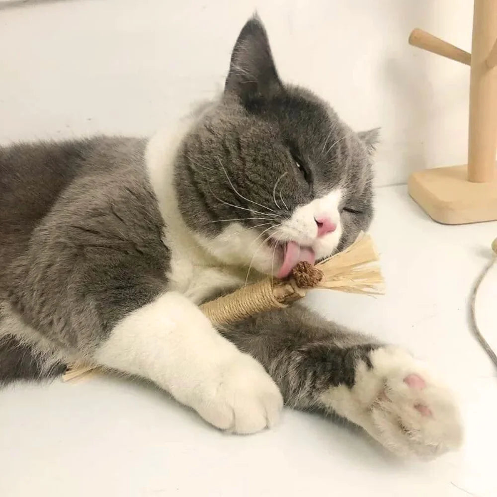 Gravetinho de Matatabi Para Gatos - Stick Artesanal (Pague 3 Leve 5 Unidades)