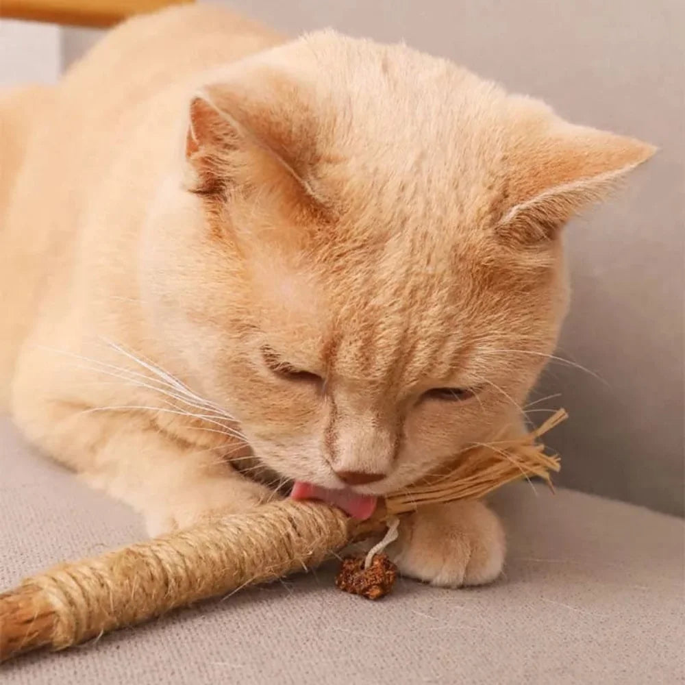 Gravetinho de Matatabi Para Gatos - Stick Artesanal (Pague 3 Leve 5 Unidades)