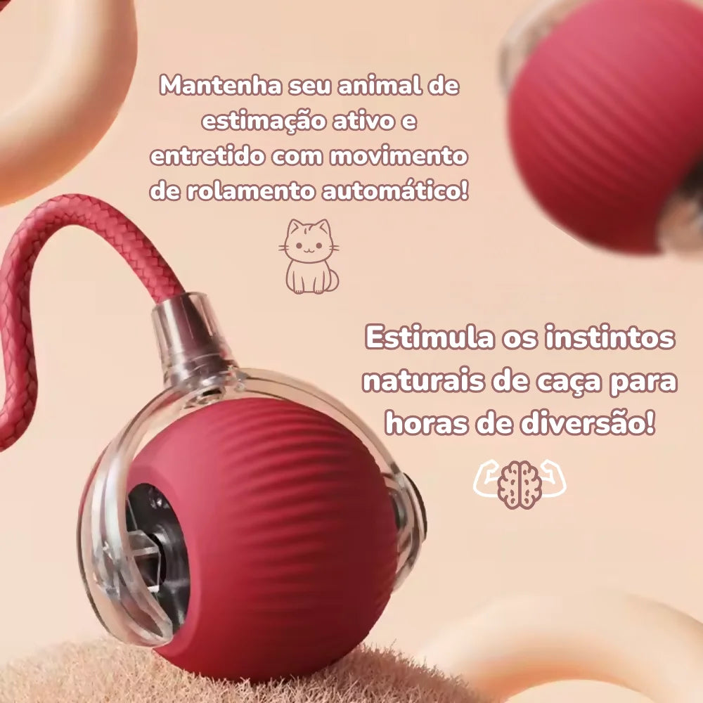 Bola Elétrica Interativa para Gatos