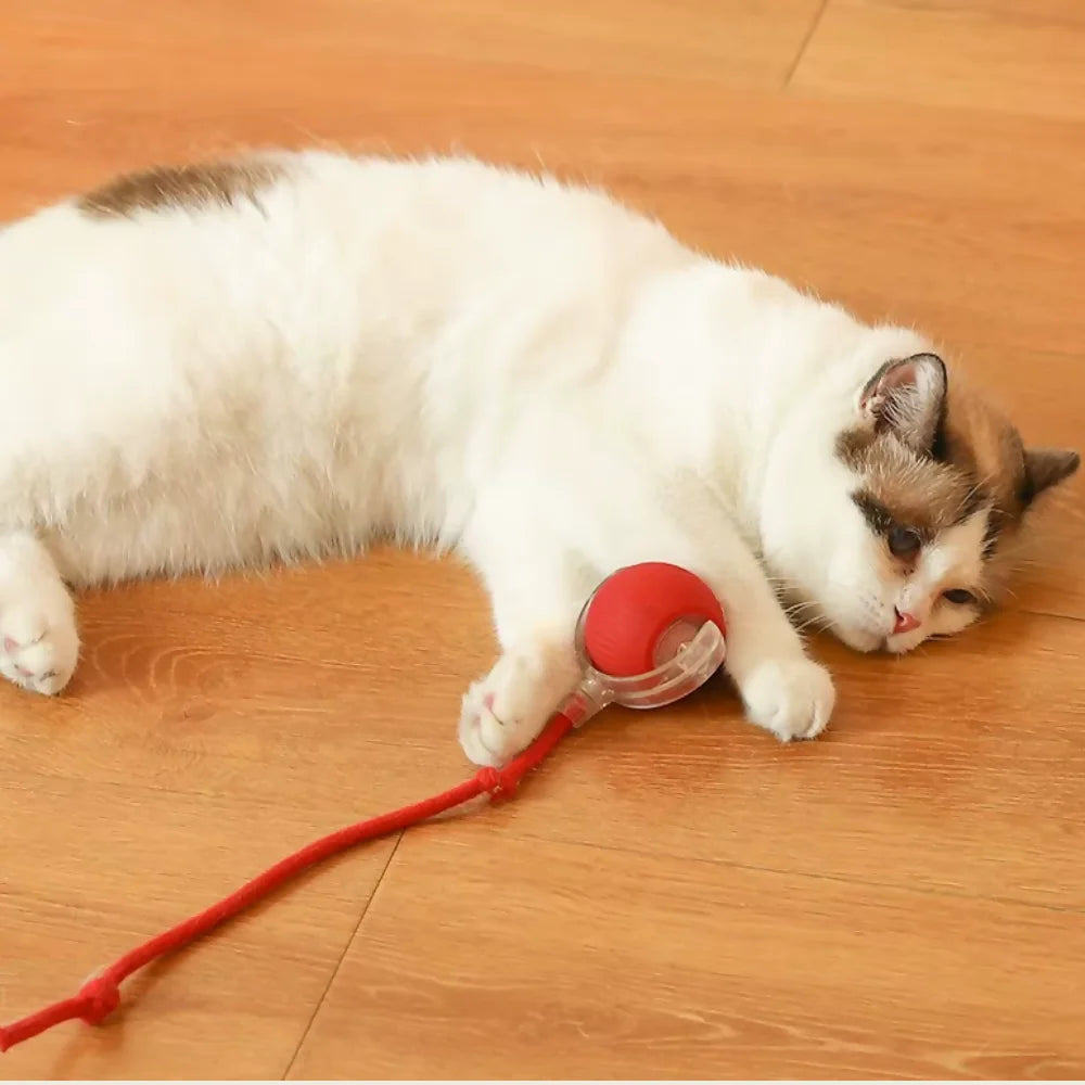 Bola Elétrica Interativa para Gatos