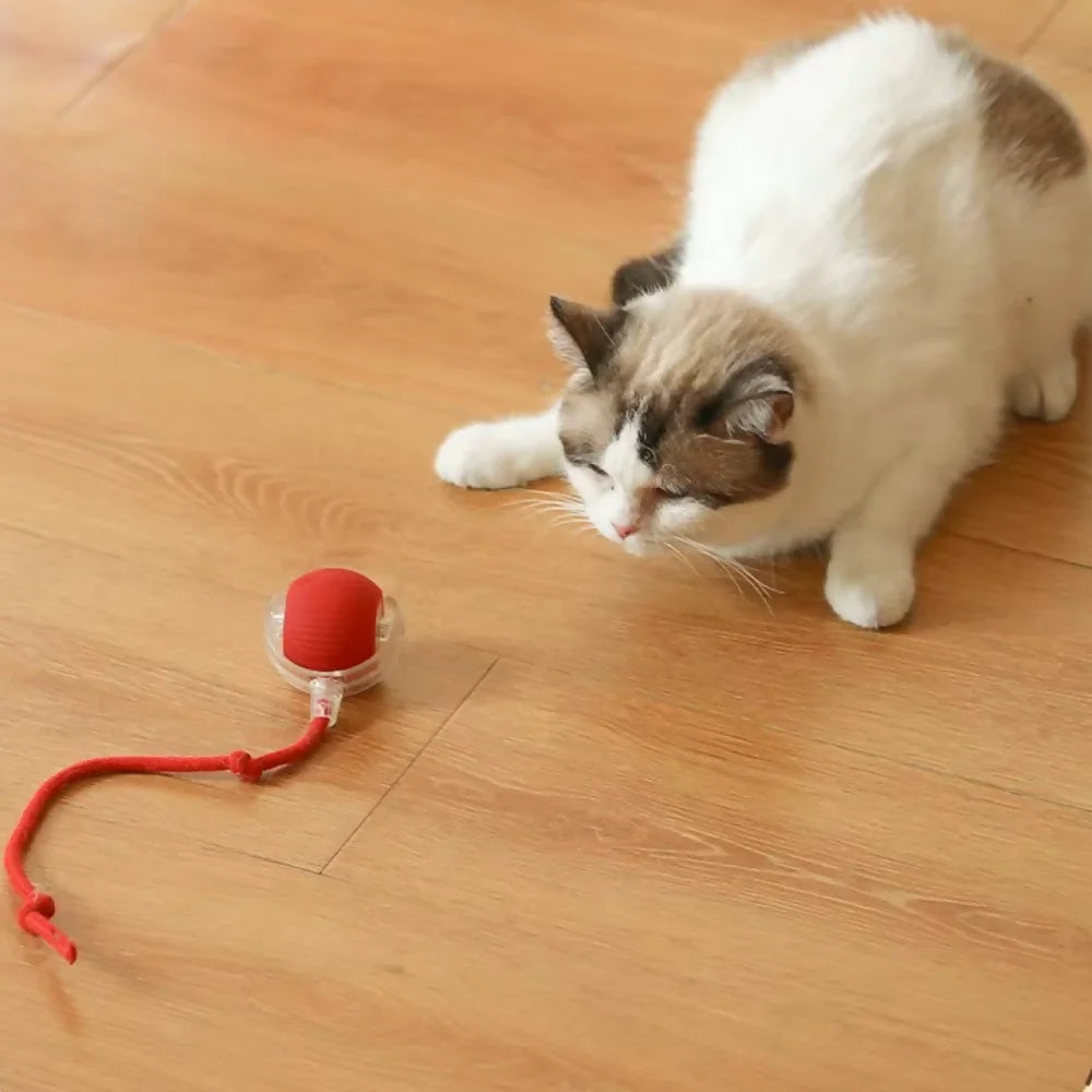 Bola Elétrica Interativa para Gatos