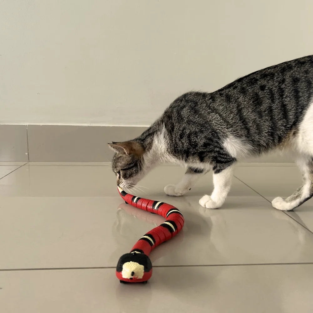 Brinquedo Cobra Elétrica Interativa para Gatos | Estimule o Instinto de Caça