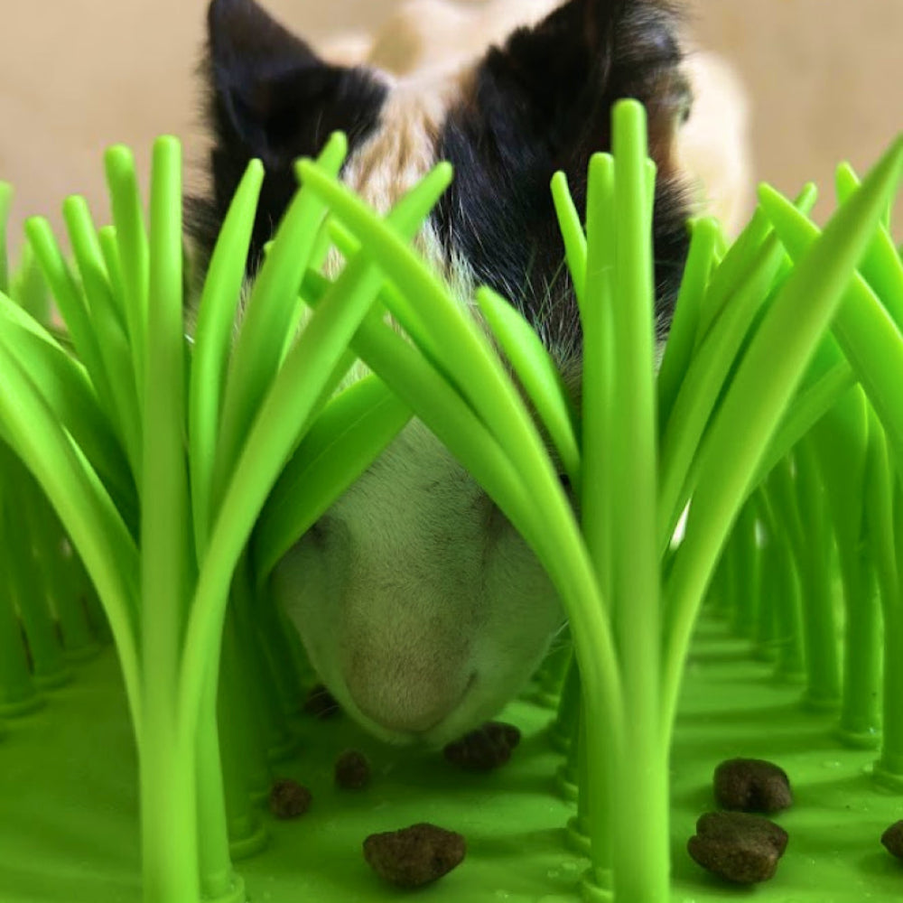 Comedouro de Grama Para Alimentação Lenta de Pets