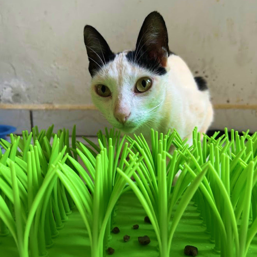 Comedouro de Grama Para Alimentação Lenta de Pets