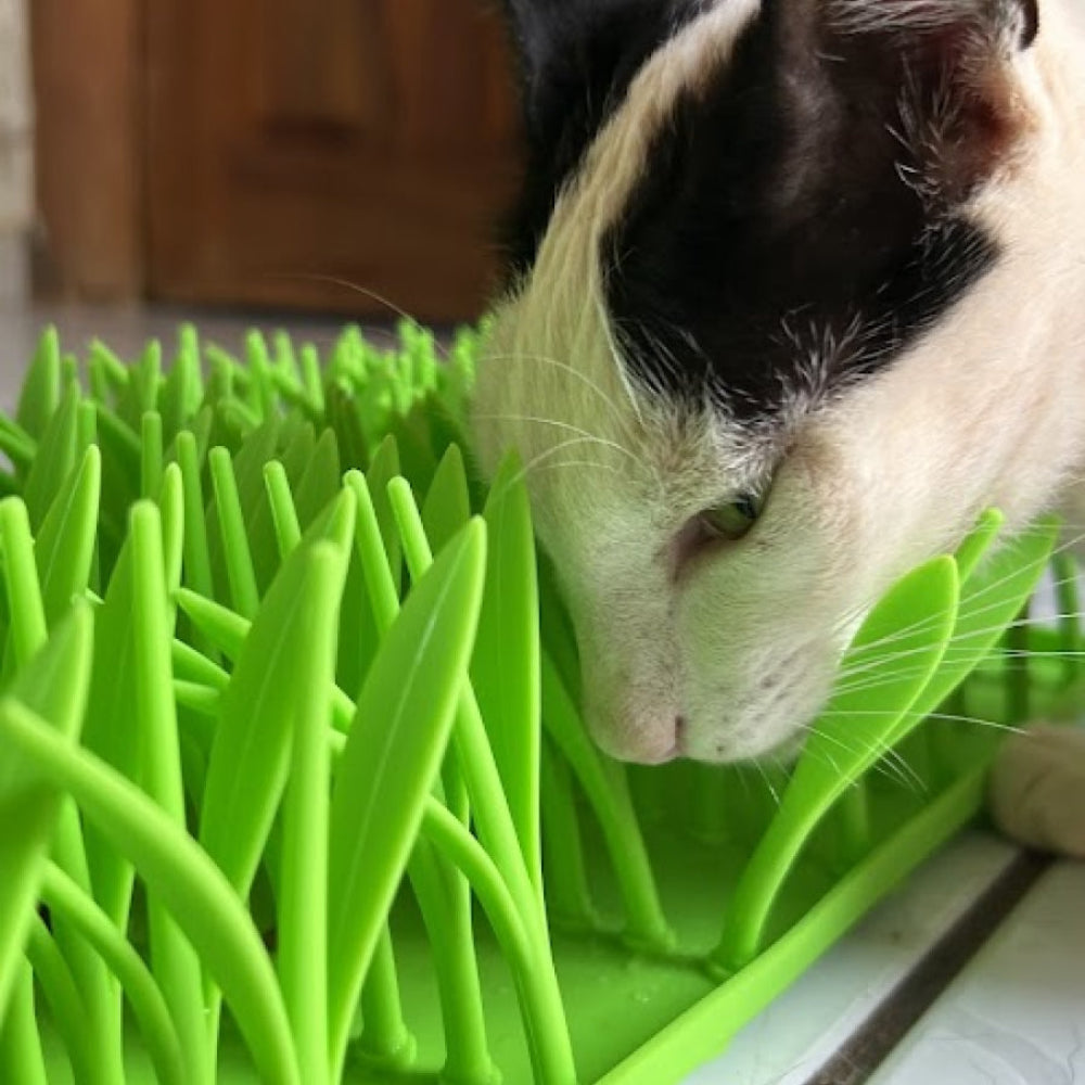Comedouro de Grama Para Alimentação Lenta de Pets