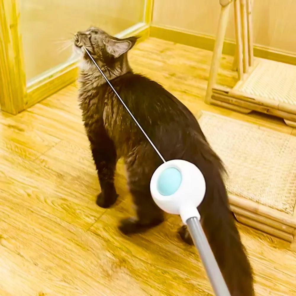 Varinha De Brinquedo Para Gatos | CatFlick: Brinque, Estenda, Surpreenda!