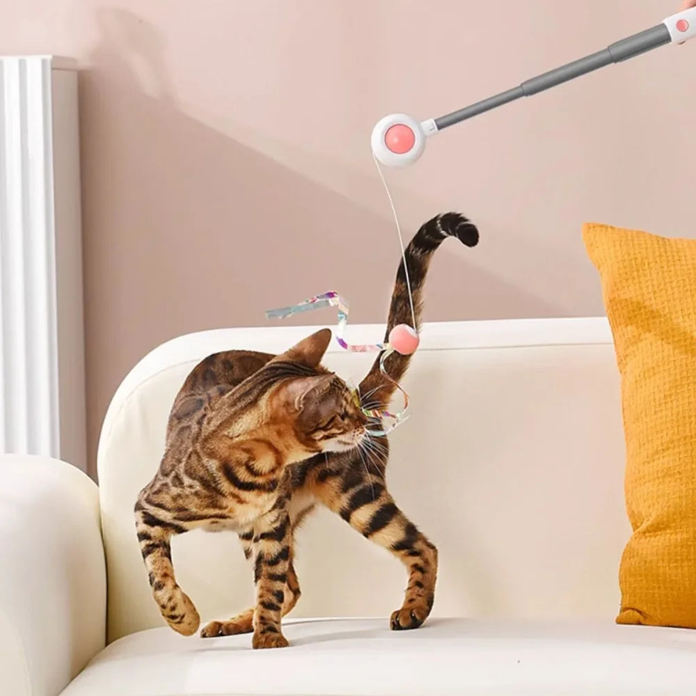 Varinha para Gatos Extensível CatFlick | Estimula Instinto de Caça e Interação