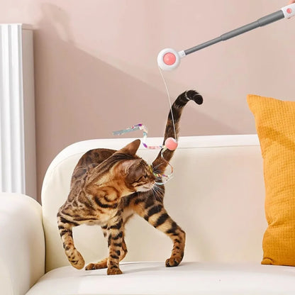 Varinha para Gatos Extensível CatFlick | Estimula Instinto de Caça e Interação