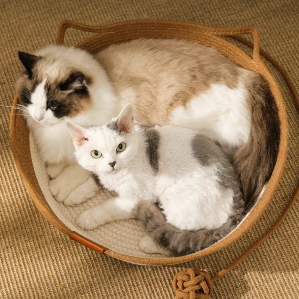 Cama de Sisal com Brinquedo para Gatos – Ideal para Aconchegar e Brincar