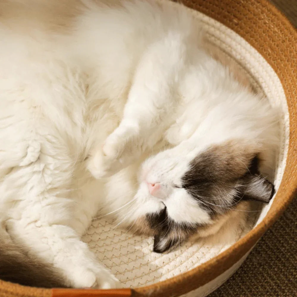 Cama de Sisal com Brinquedo para Gatos – Ideal para Aconchegar e Brincar