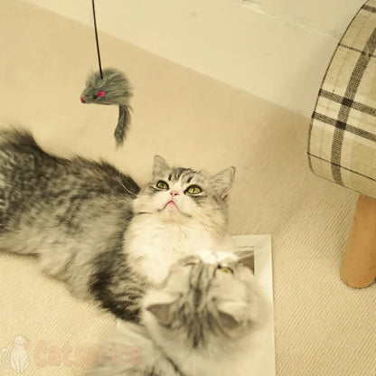 Rato de Porta com Elástico - Brinquedo Interativo para Gatos