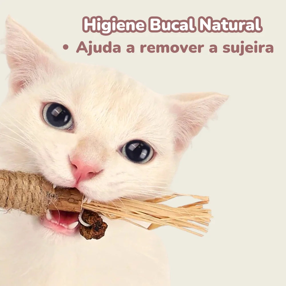 Gravetinho de Matatabi Para Gatos - Stick Artesanal (Pague 3 Leve 5 Unidades)
