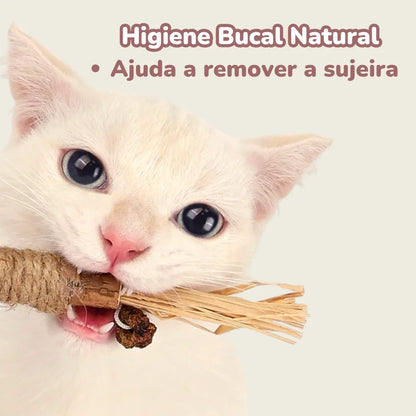 Gravetinho de Matatabi Para Gatos - Stick Artesanal (Pague 3 Leve 5 Unidades)