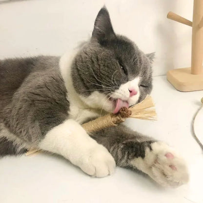 Gravetinho de Matatabi Para Gatos - Stick Artesanal (Pague 3 Leve 5 Unidades)