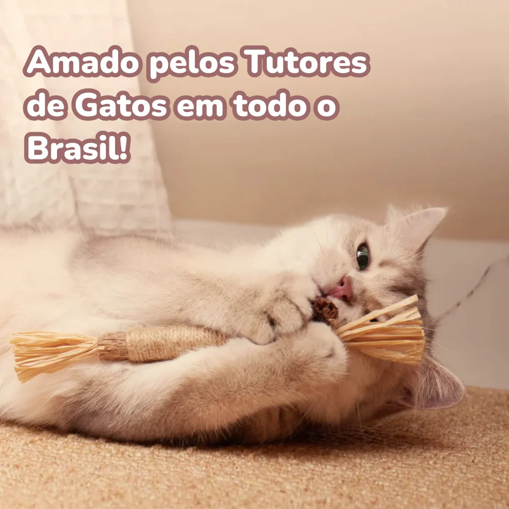 Gravetinho de Matatabi Para Gatos - Stick Artesanal (Pague 3 Leve 5 Unidades)