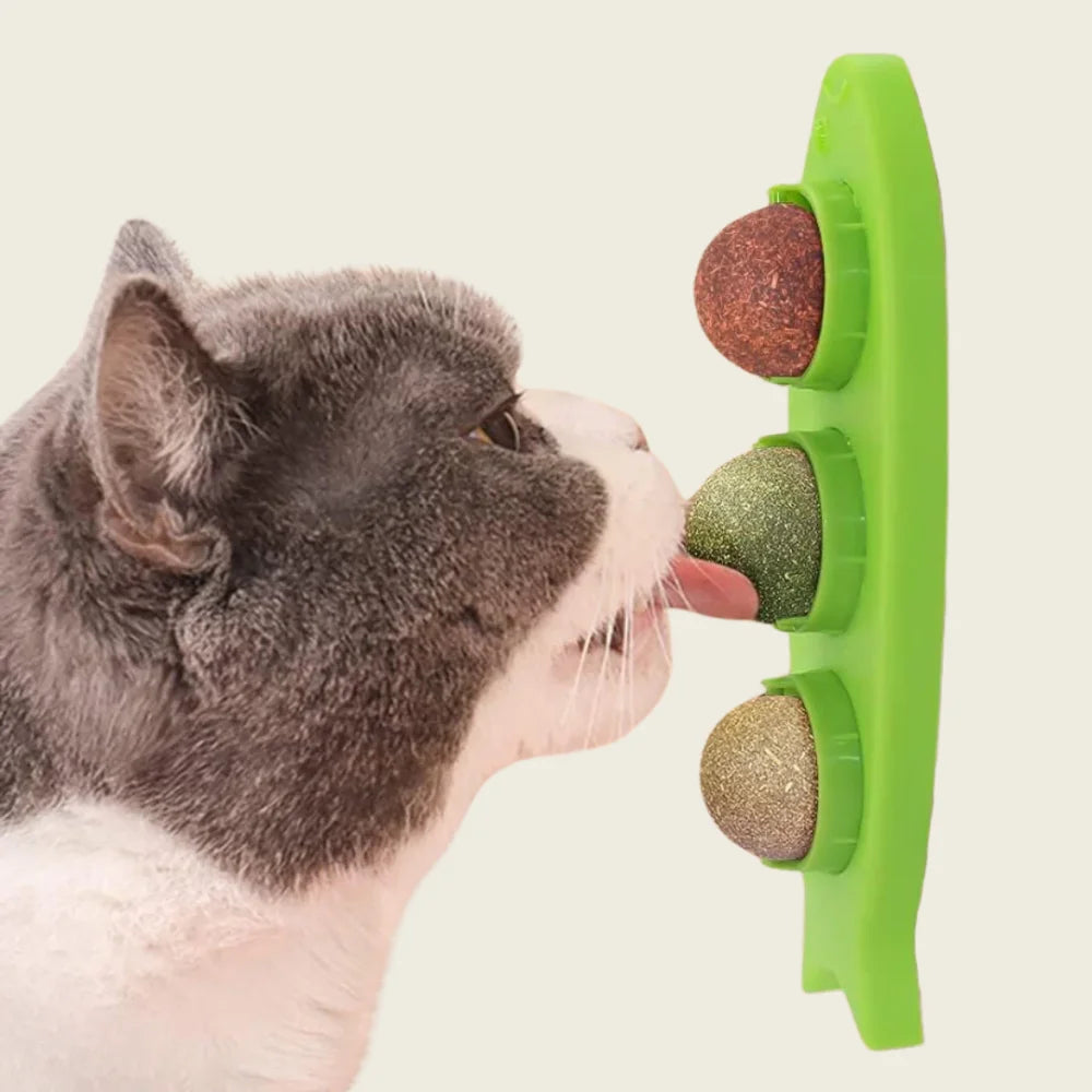 Catnip de Parede com Adesivo para Gatos – Estímulo e Prazer Instantâneo