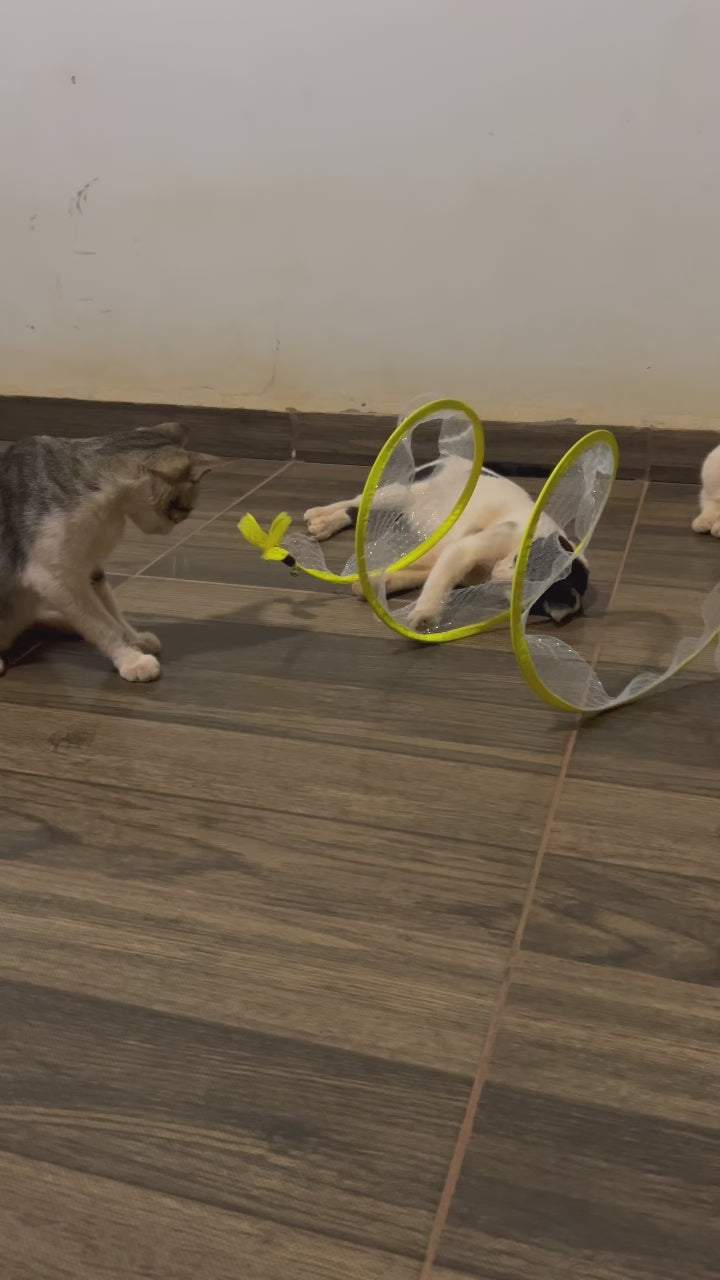 Carregar vídeo: 