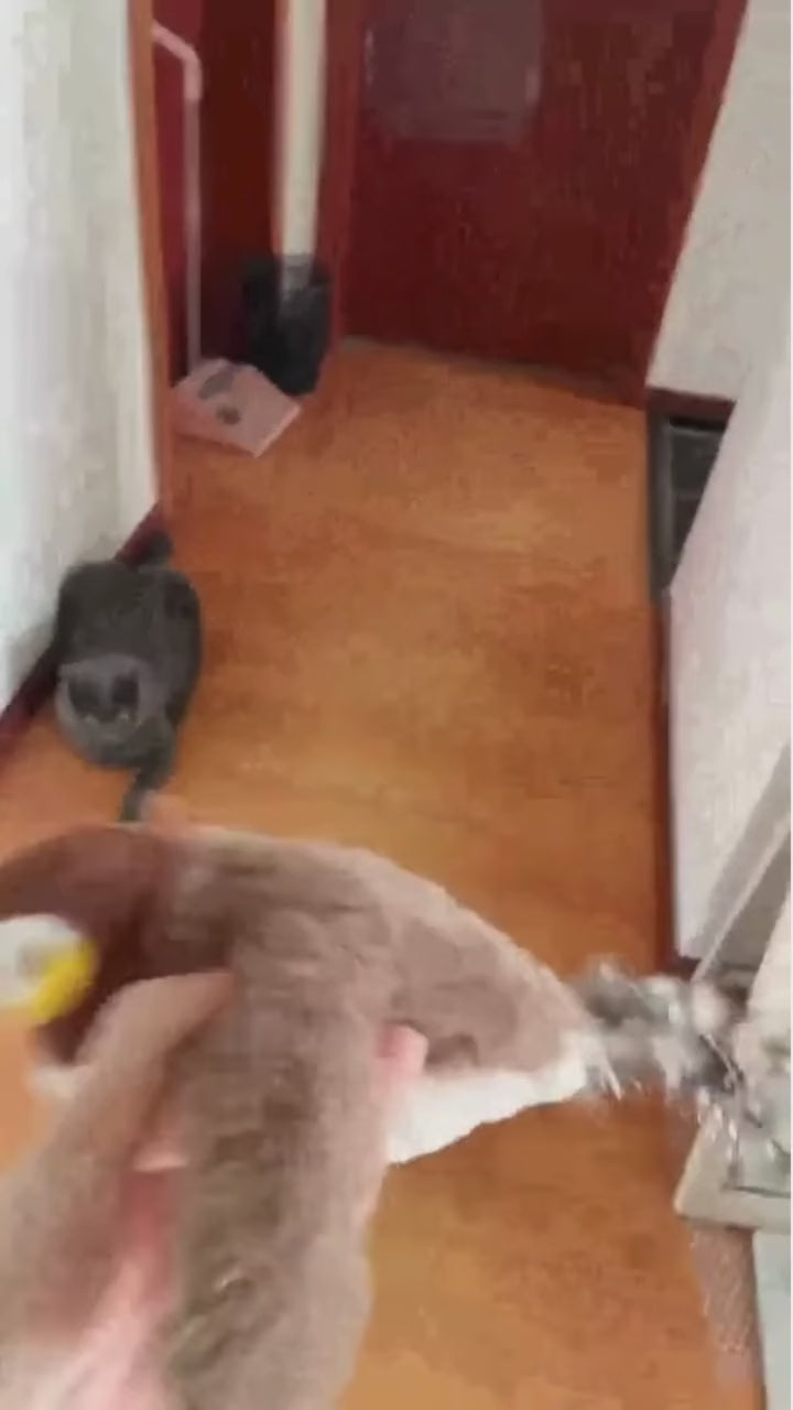 Carregar vídeo: 